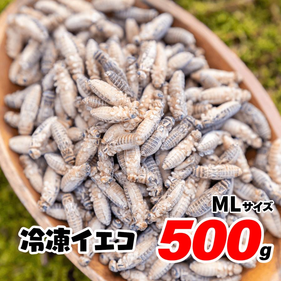 冷凍コオロギ 500g ×2 冷凍こおろぎ 冷凍コオロギ 500g ×2 冷凍