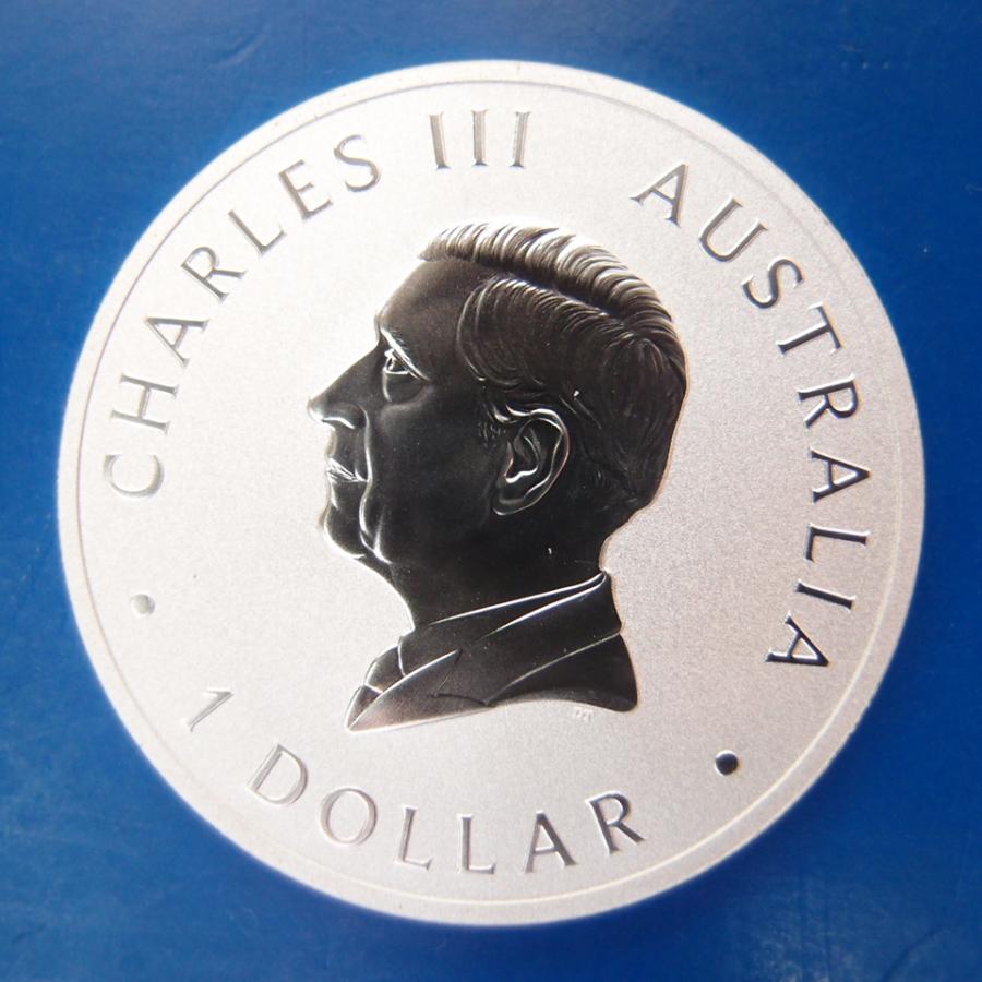 2026年】カワセミ1オンス銀貨 新品未使用 純銀 ケース入り : Gold