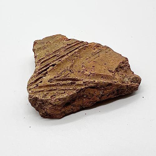 つくしサイエンス 縄文土器 破片 本物 青森産 歴史資料 縄文文化 遺跡