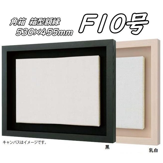 額縁 F10号 白 ガラスなし キャンバス付き ②/5 油絵用仮額縁 木地