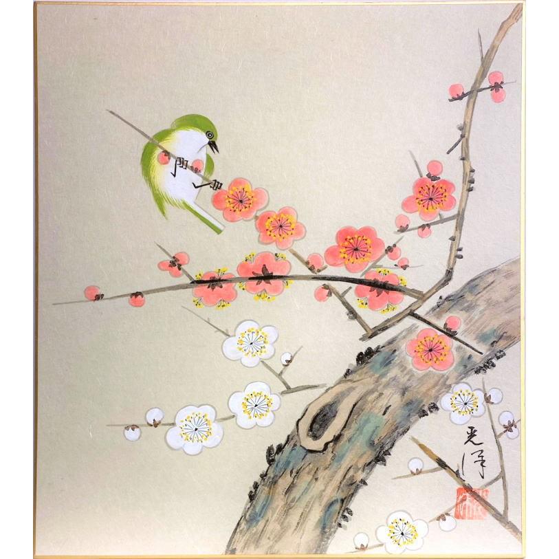 夕顔 杏の花 梅の花 など絵の掛け軸6点まとめ売り 夕顔 杏の花 梅の花