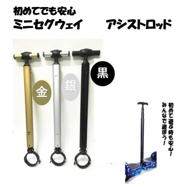 ミニセグウェイ バランススクーター セグウェイ 初めてでも安心 補助