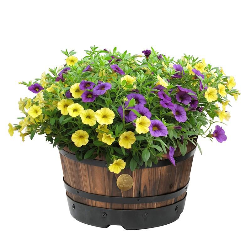 植木鉢andソーサー✳︎POT観葉植物✳︎園芸プランター 植木鉢and