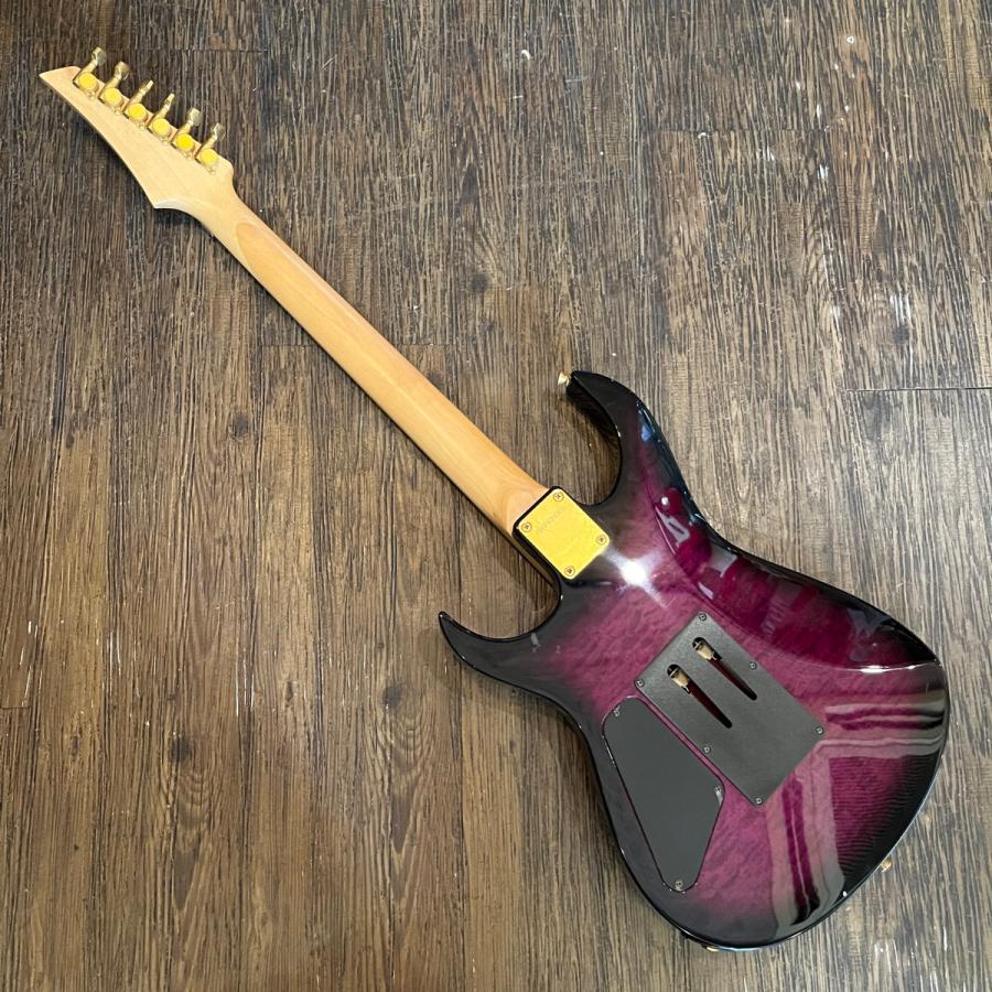 FERNANDES（フェルナンデス） Fernandes FGZ-550 Electric Guitar