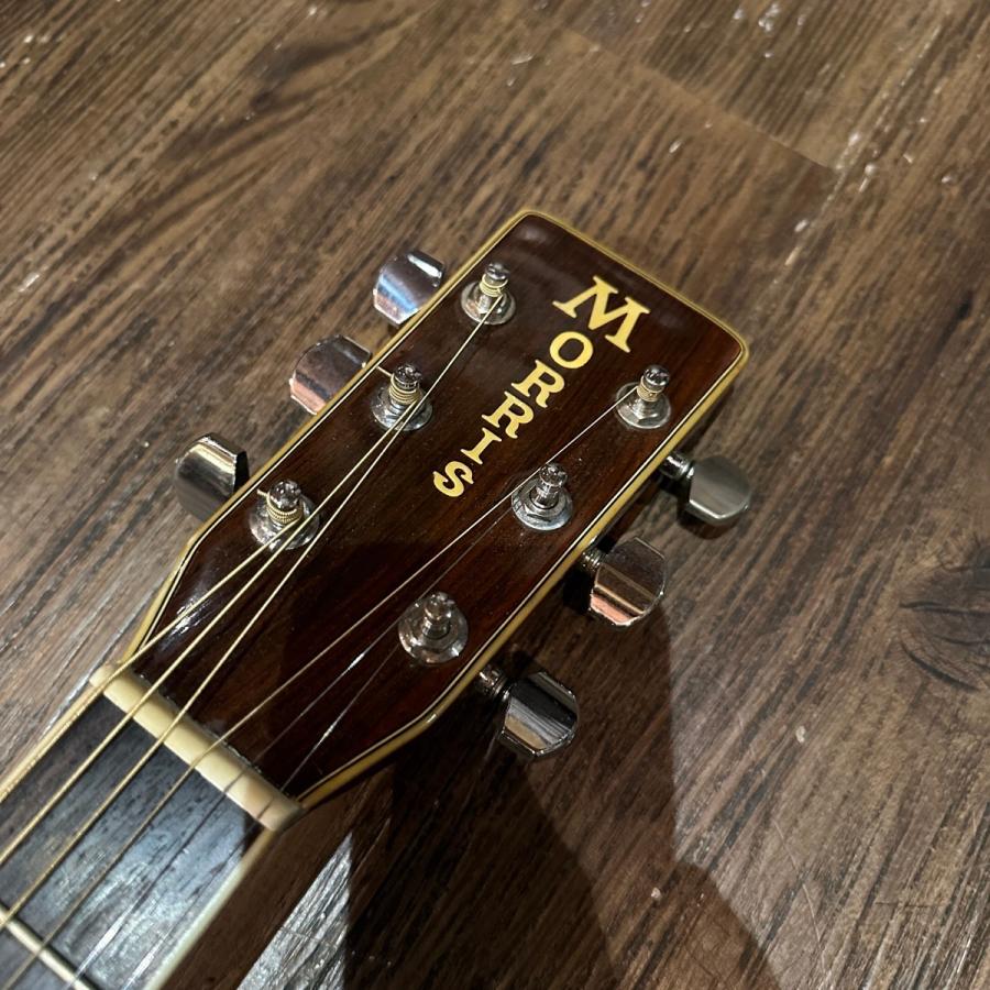 Morris Morris W-40 Acoustic Guitar Made in Japan アコースティック