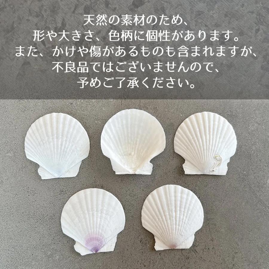 自然素材 5枚 本物のホタテ貝 ちょこっと大きめ♪ 5.5cm 6cm