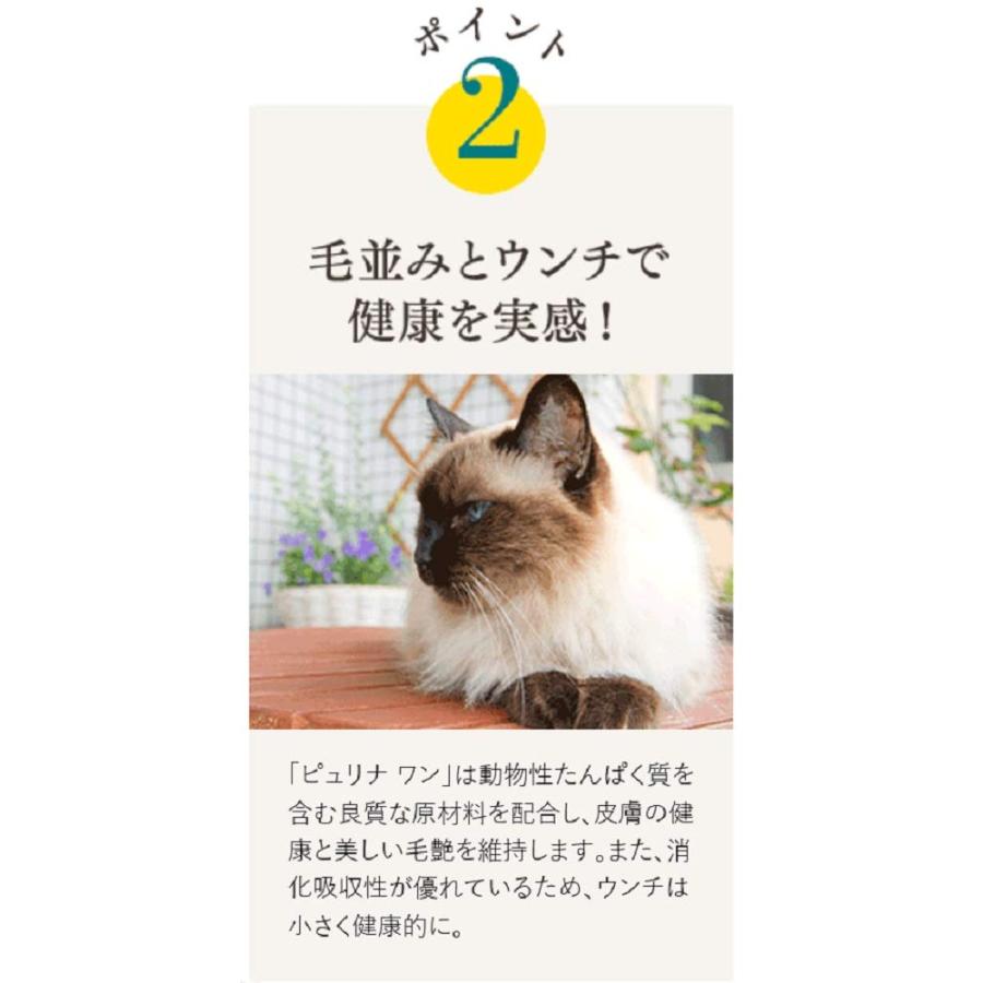 ピュリナワン キャット ドライ 避妊・去勢した猫の体重ケア チキン 4.4