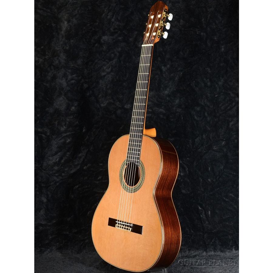 ARIA（アリア） ARIA A-100C-63 杉/ローズウッド 新品《クラシック