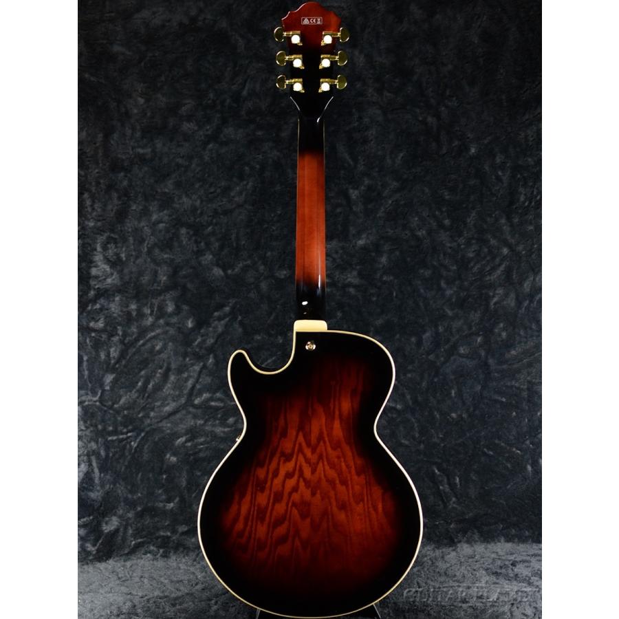 Ibanez（アイバニーズ） Ibanez Artcore Expressionist AG95QA ''DBS