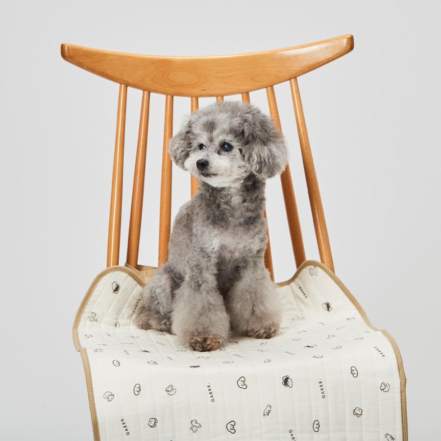 GUNZE（グンゼ） 犬用マット 46×56cm カフェマット すべり止め付き