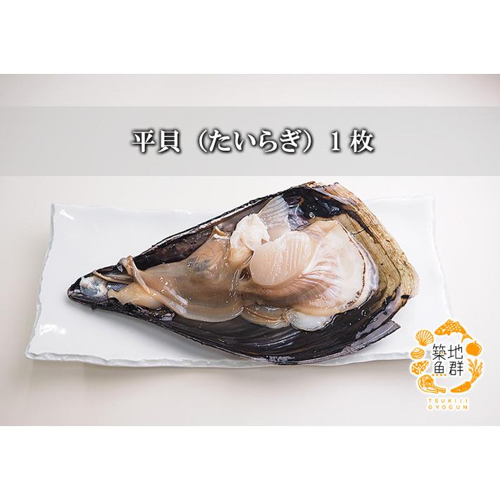 平貝（たいらぎ）1枚 冷蔵便 : 築地魚群 - 通販 - Yahoo!ショッピング