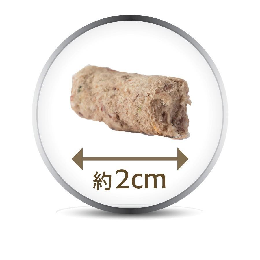 お試しサイズ】K9 Natural ケーナインナチュラル チキン 100g 犬用