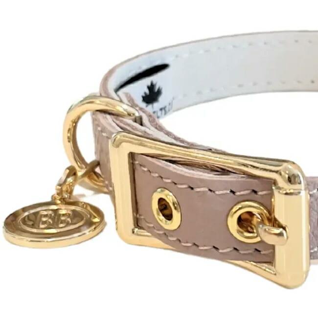 バディベルト2号＆リードセット 人気色ラテ バディベルト2号＆リード