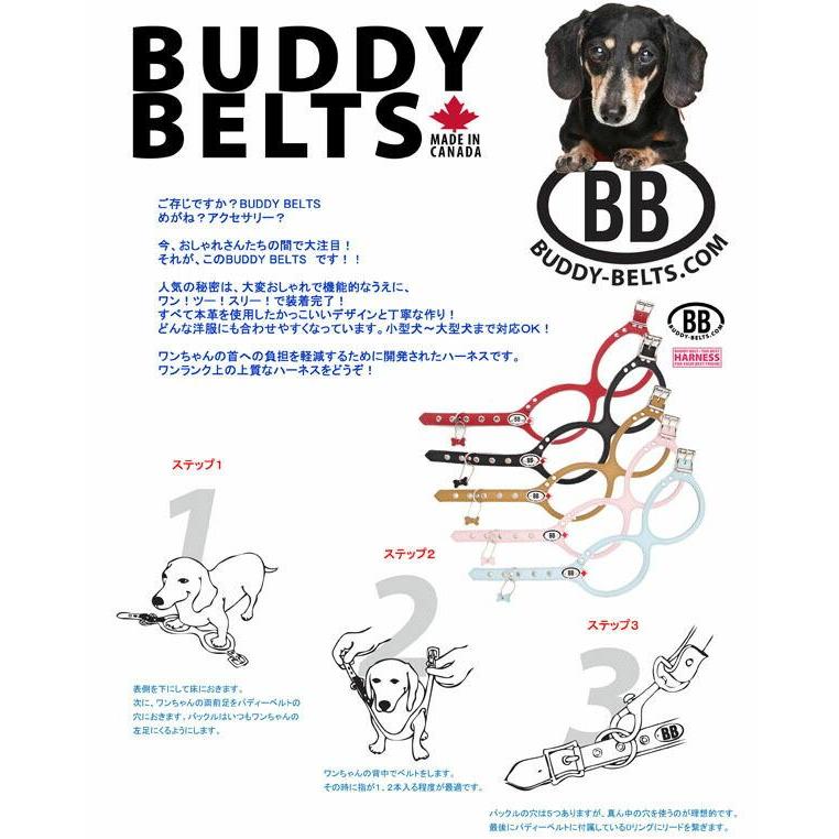 獣医師推奨 BBハーネス バディーベルト 3号 BUDDY BELT BUDDYBELT