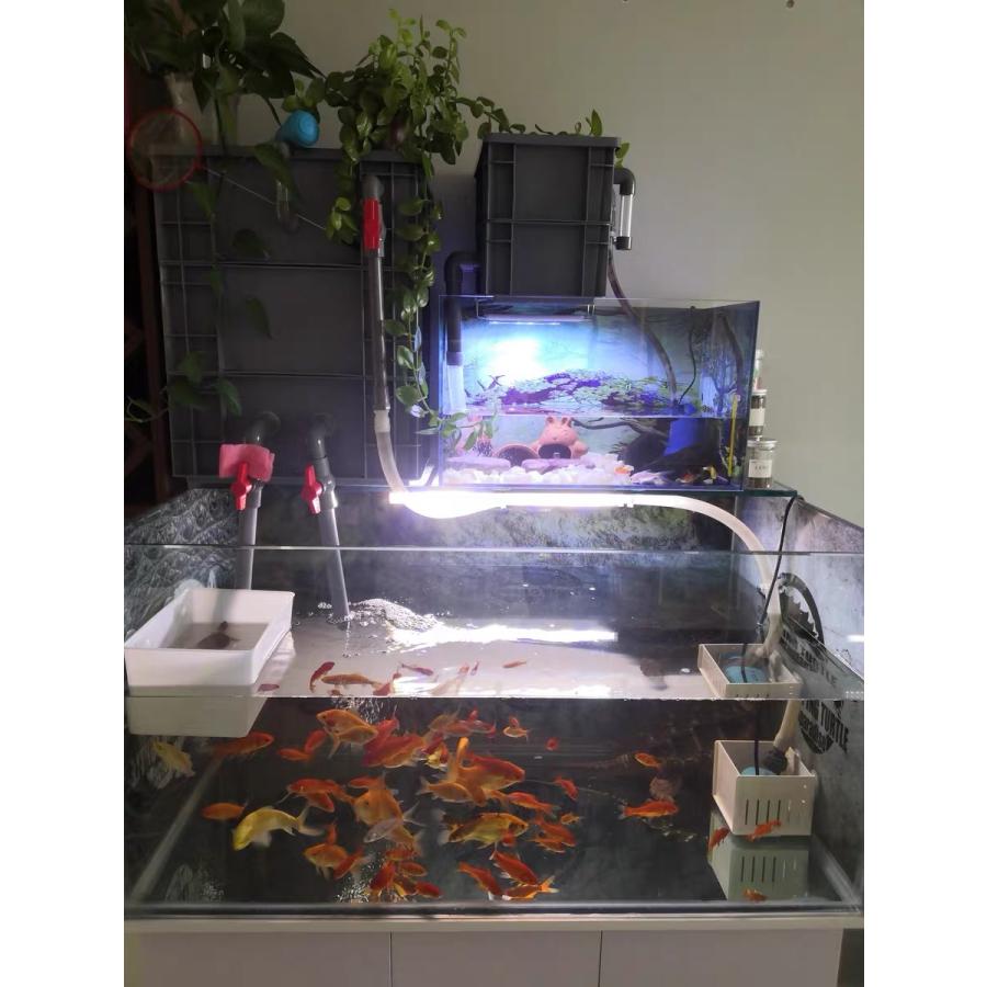 ろ過槽、濾過装置、フィルター外部式（大）池大型水槽フィルター : DMB