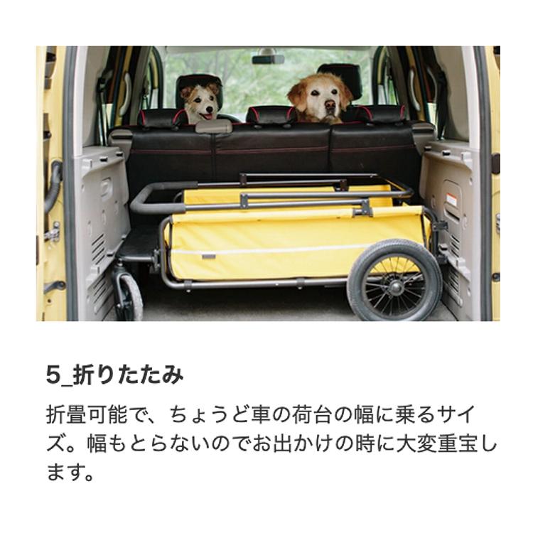 Cube エアバギー CARRIAGE キャリッジ 台車+ルーフセット 特典あり