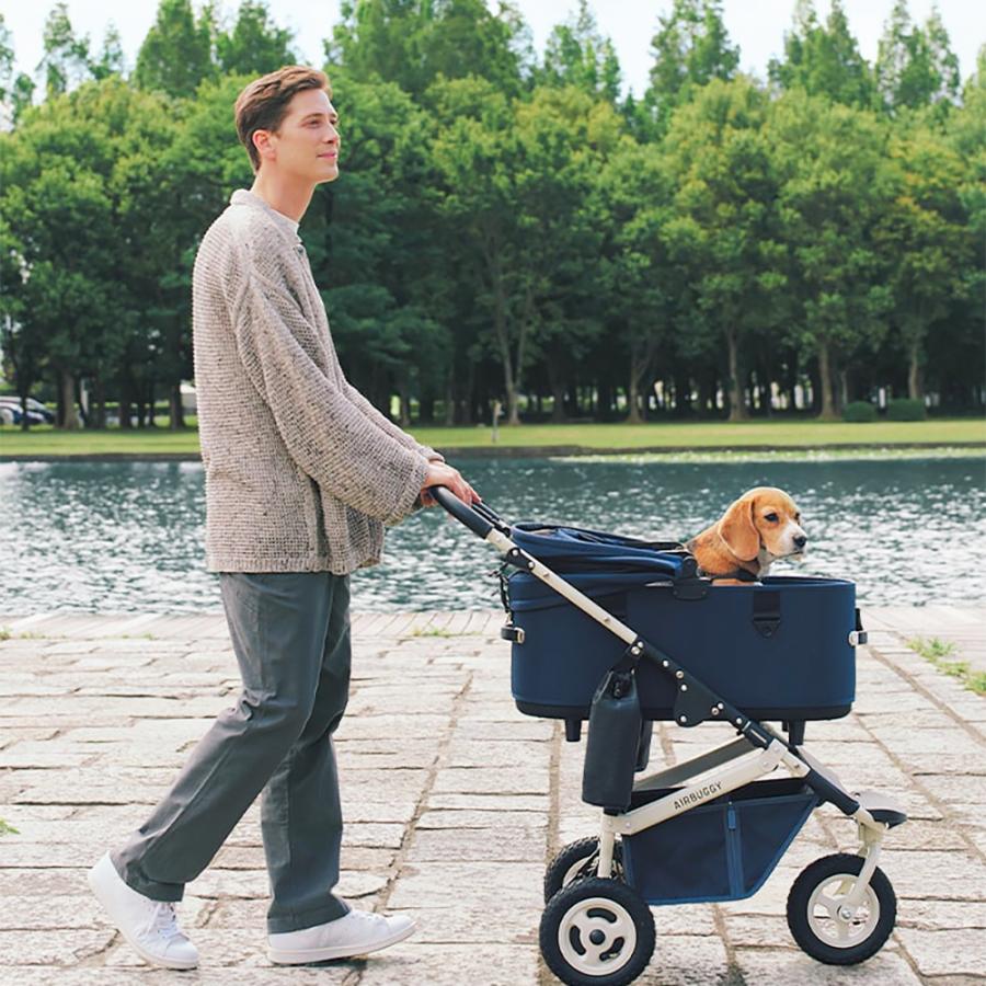 DOME エアバギー ドーム3 プレミア レギュラー セット品 特典あり