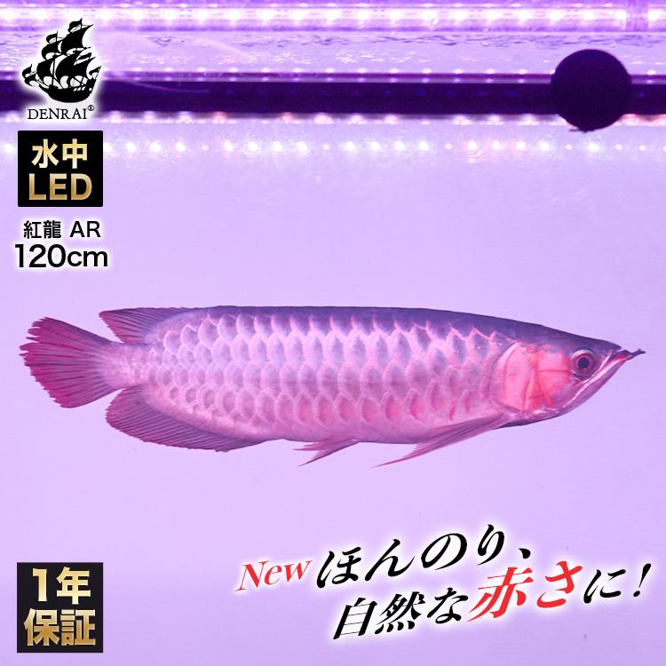 紅龍水中ライト (マイン) 1500水槽用