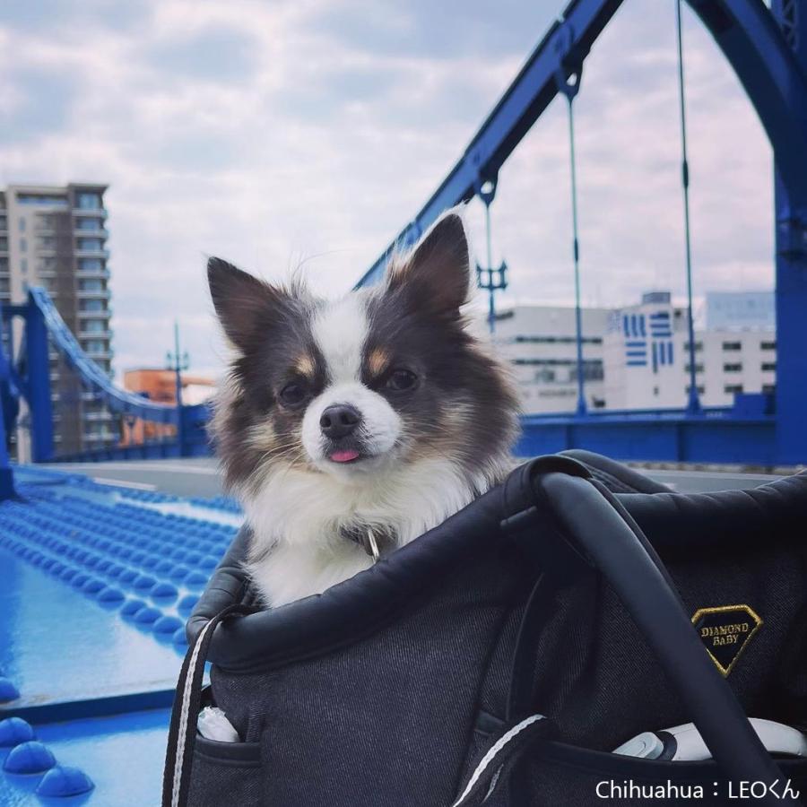 マシュマロ イージー キャリーバッグ （犬 猫 小動物用） セルジュ