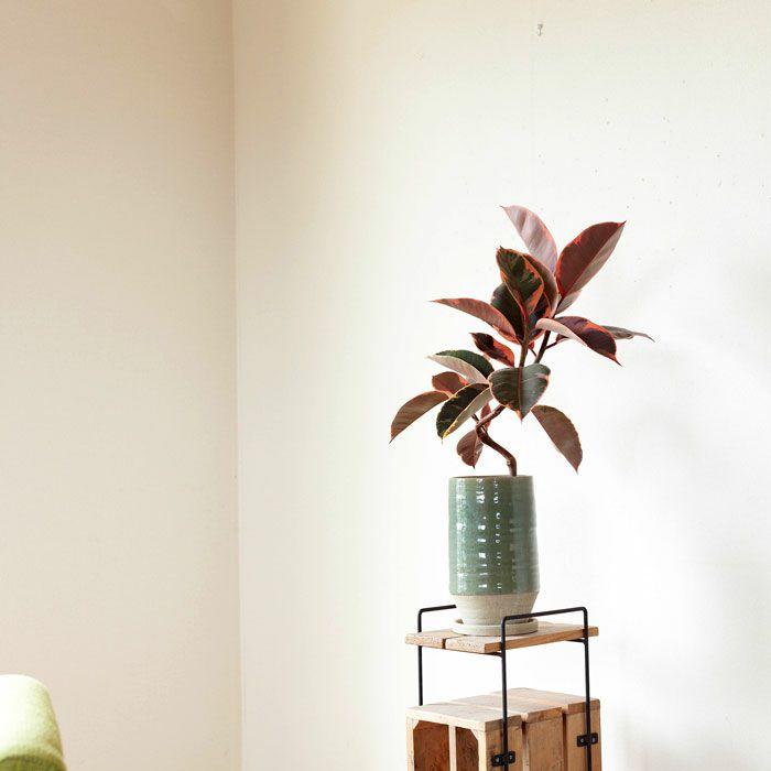 落ち着いた色の 鉢 花器 にも 焼き物 落ち着いた色の 鉢 花器 にも 焼き物