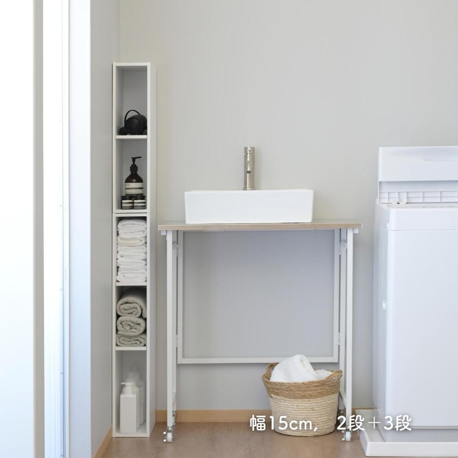 山善（YAMAZEN） 棚が動かせる カラーボックス スリム 2段 幅15 奥行き