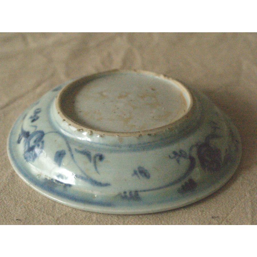 元時代 景徳鎮 青花魚藻文 古染付中皿18cm 15世紀 アジア 古玩 中国