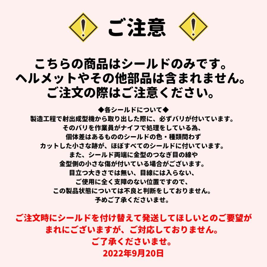 NEORIDERS（ネオライダース） バイク ヘルメット フルフェイス ZX7/ZX9