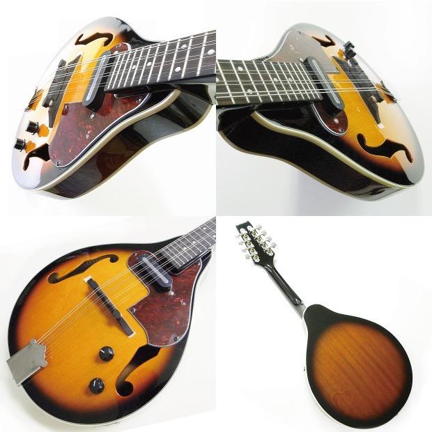 マンドリン ARIA アリア AM-20E 初心者 11点セット ピックアップ搭載