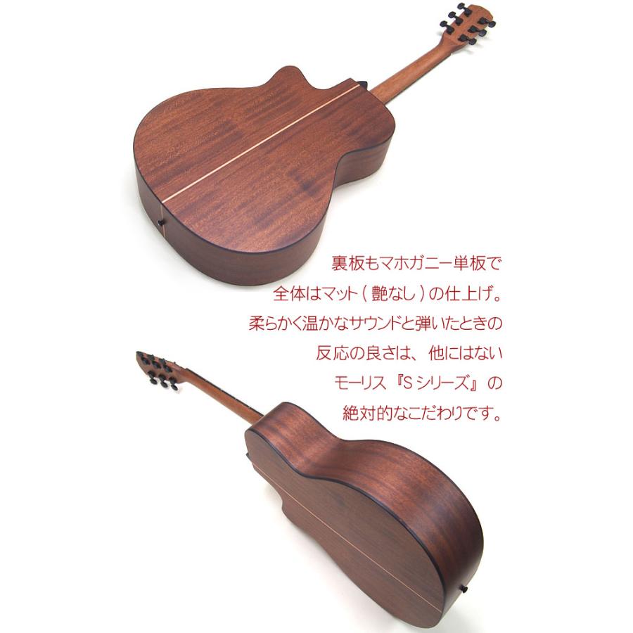 Morris SR-701 アコースティックギター MORRIS SR-701|ドルフィンギターズ
