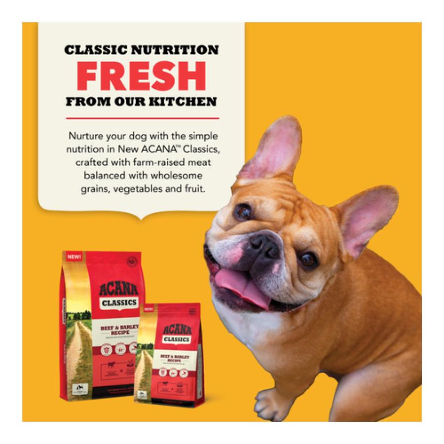 アカナクラシック 【並行輸入品】 アカナ クラシック レッドミート