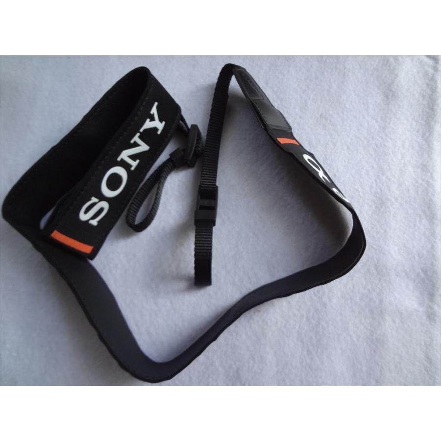 専用☆S数約3500回！SONY α99☆美品☆純正ストラップ付き S数約3500回