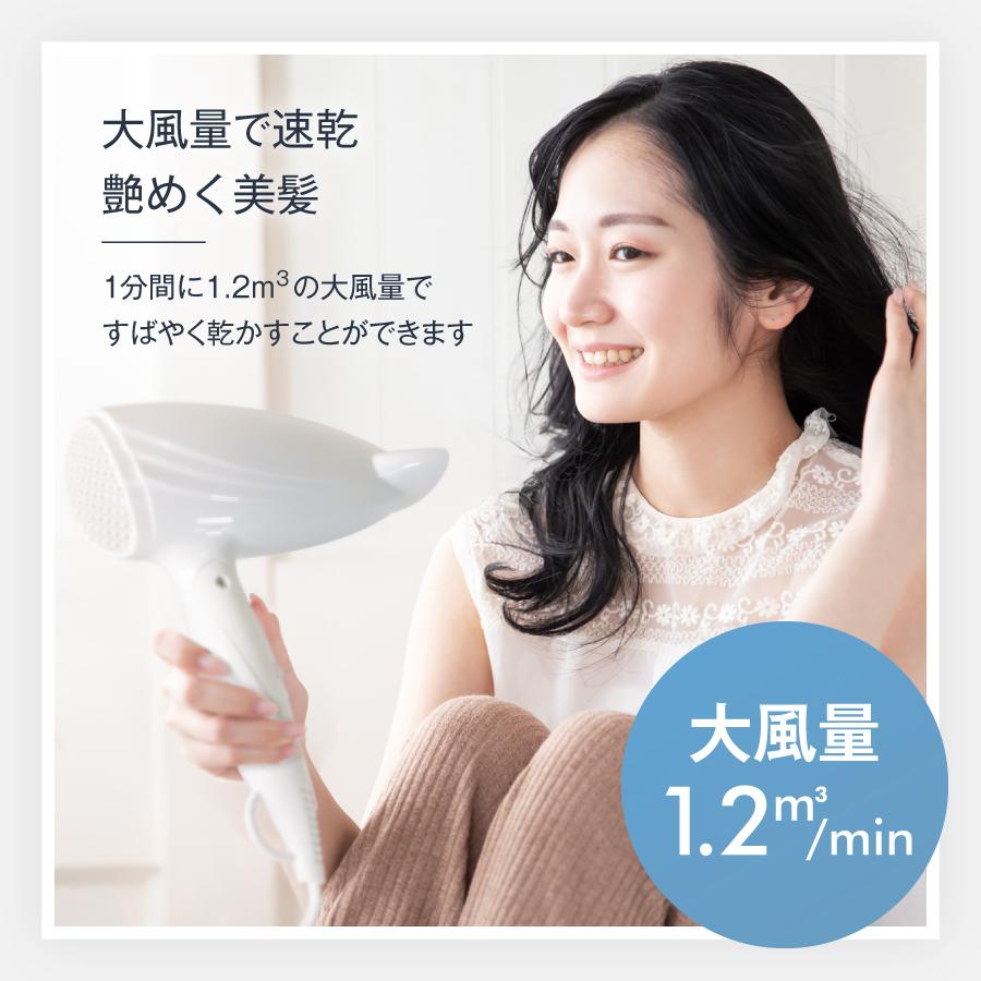 ヒロ・コーポレーション ドライヤー ヘアドライヤー マイナスイオン