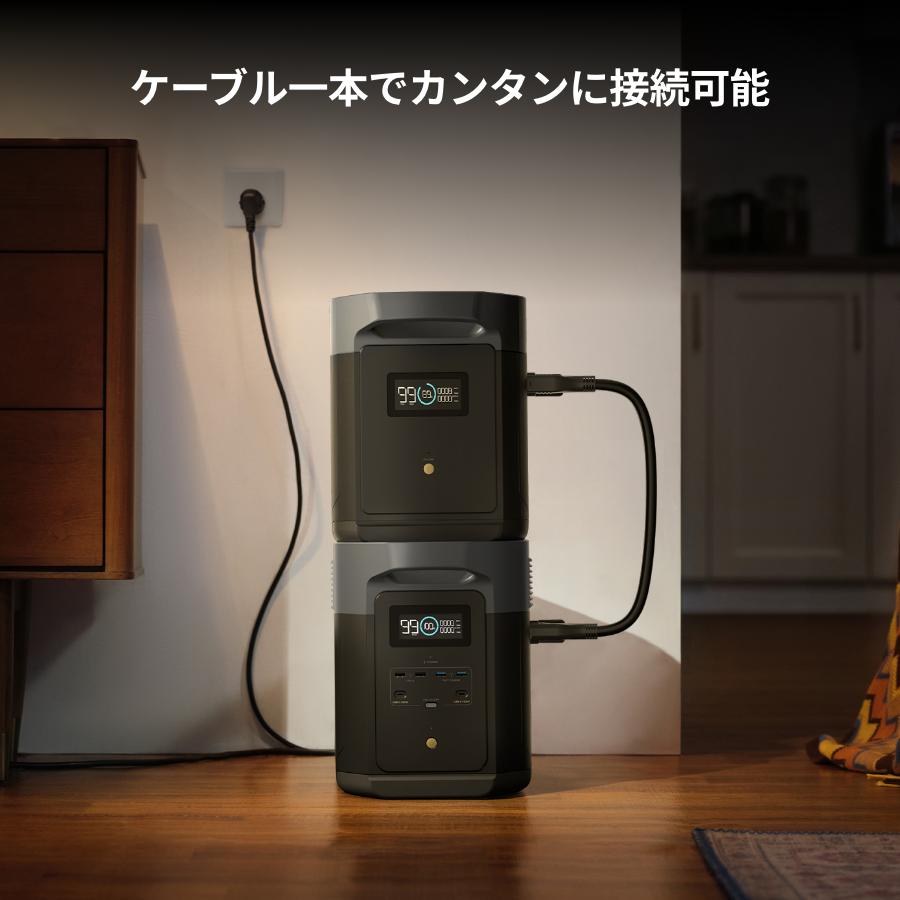 ECOFLOW EcoFlow DELTA 2 Max /DELTA 2 Max S 専用エクストラ