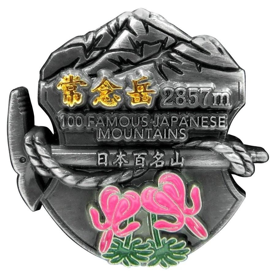 濃飛バス YAMAP コラボ ピンバッジ 数量限定 超レア品 濃飛バス YAMAP