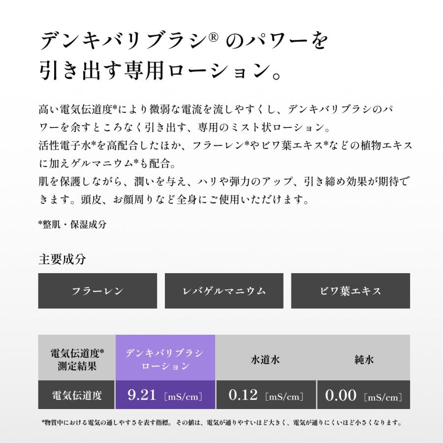 ELECTRON（エレクトロン） エレクトロン公式 2本組 デンキバリブラシ
