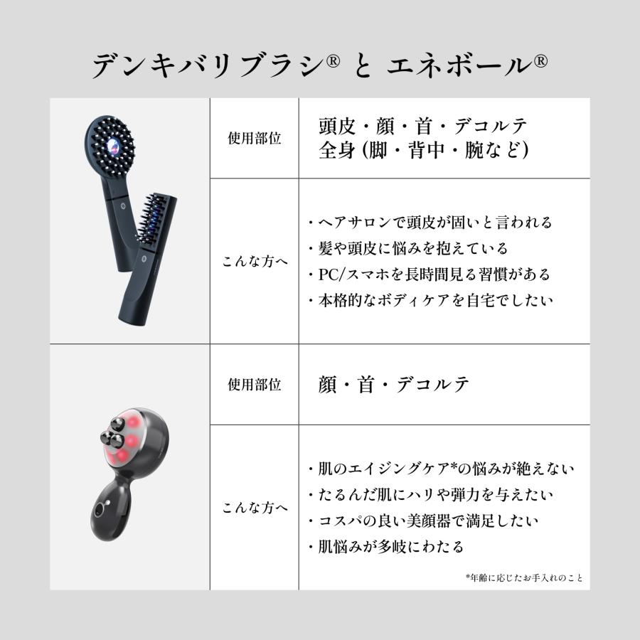 ELECTRON/エレクトロン】電気バリブラシ 美容器 美顔器 針 購入