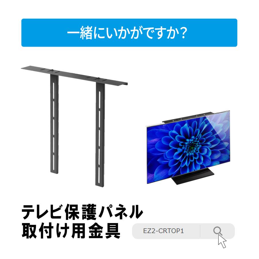 SANWA SUPPLY（サンワサプライ） テレビ保護パネル 55インチ対応 液晶