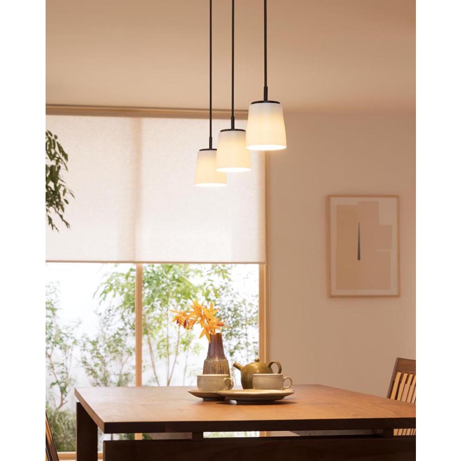 Panasonic ダクトレール用ペンダントライト 2灯セット Panasonic