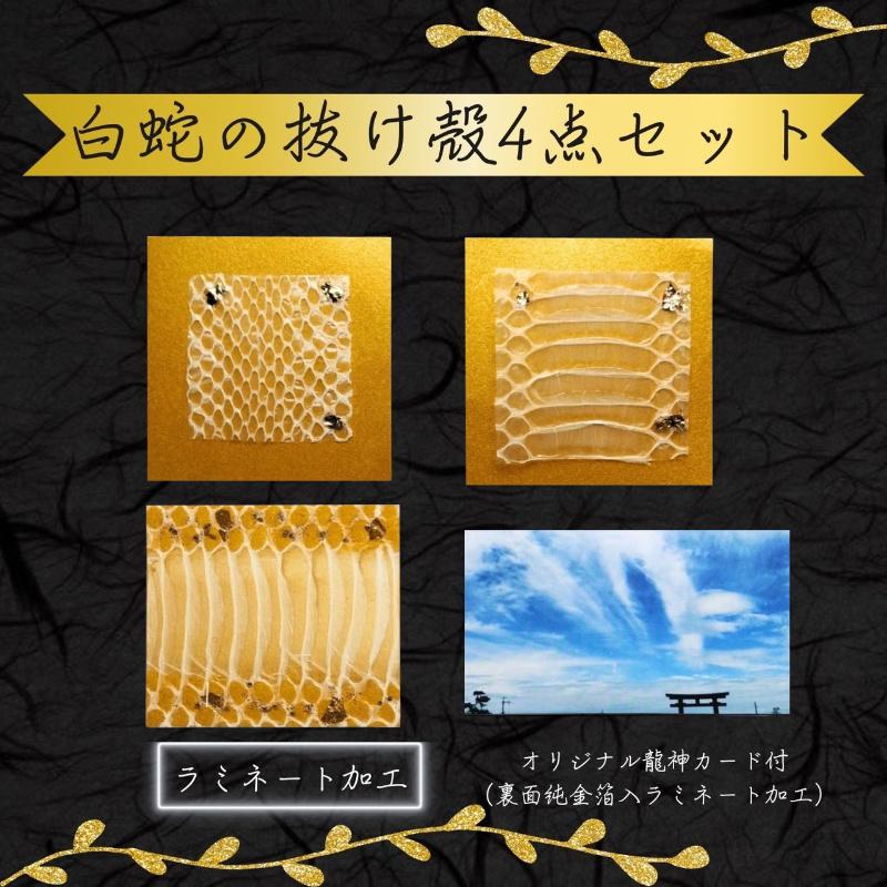 白ヘビの抜け殻まとめ売り 【公式通販】