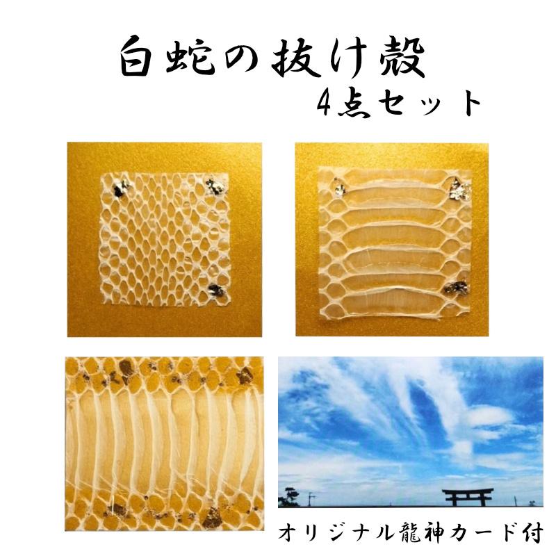 白ヘビの抜け殻まとめ売り 【公式通販】