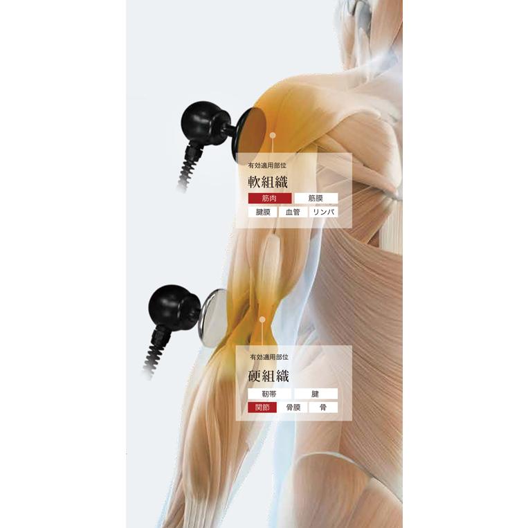 フィジオ ラジオスティムプロ P-RF-PRO 本体 酒井医療 : フジ