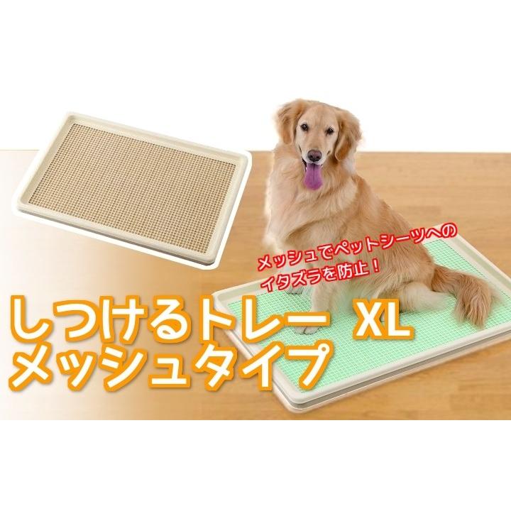 ボンビアルコン (Bonbi) しつけるトレー XL メッシュタイプ ボンビ