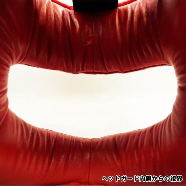 ウィンディ ヘッドガード（ヘッドギア）Lサイズ フルフェイス＆バー