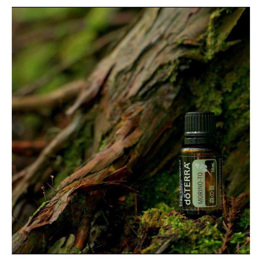 doTERRA ドテラ 森の音 洗濯洗剤 ランドリーデタージェント 500mL