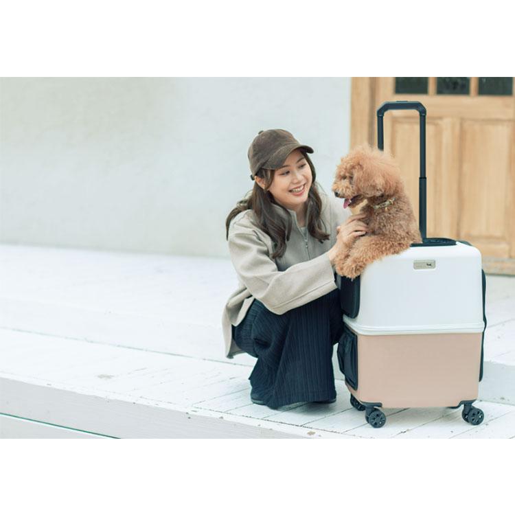 豪華特典付/ペットキャリー PETiCO iCO Mサイズ （小型犬1匹/中型犬1匹