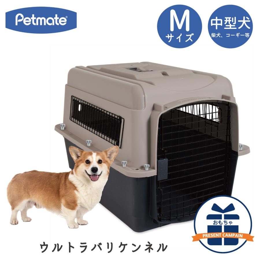 Petmate ハードキャリー 犬 クレート ハードクレート キャリー
