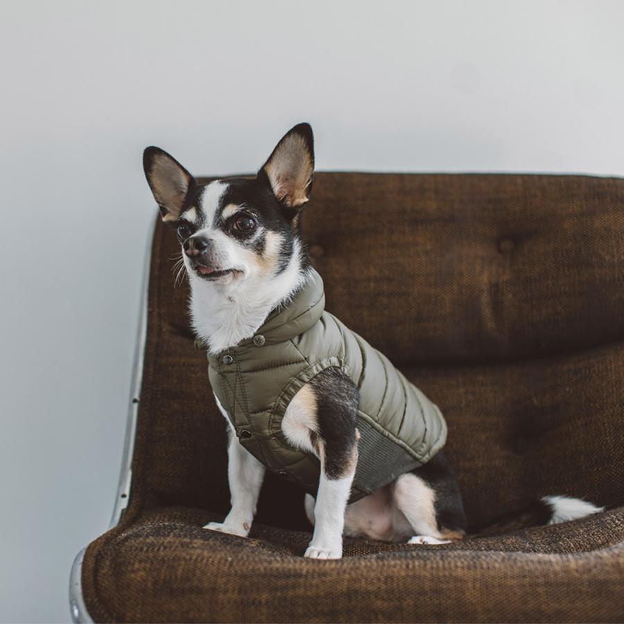 free stitch ダックダウンジャケット カーキ M ダックダウンジャケット