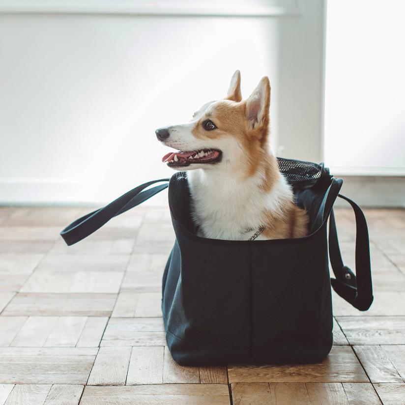 フリーステッチ free stitch キャリーバッグ リネン ソリッド S 2頭