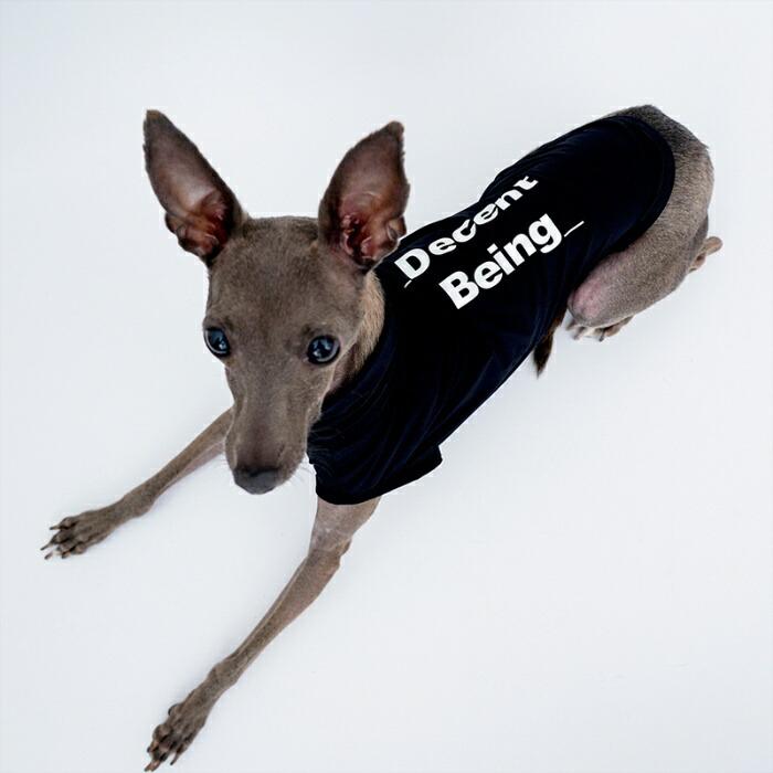 新作登場 イタリアングレーハウンド 服 夏服 イタグレ 犬服 春 夏