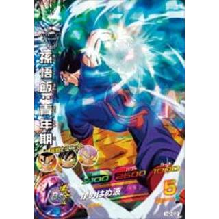 ドラゴンボールヒーローズ まとめ売り チチ 孫悟飯：SH ベジット